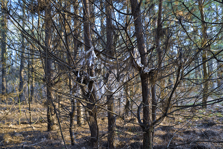 PAYSAGES POLYMÈRES -page07
