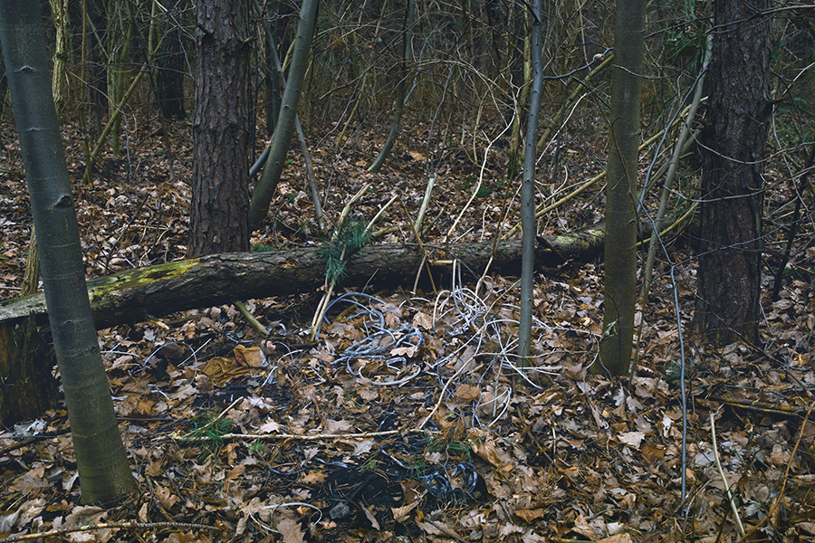 PAYSAGES POLYMÈRES -page06