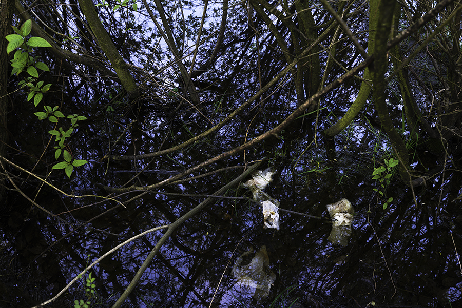 PAYSAGES POLYMÈRES -page08