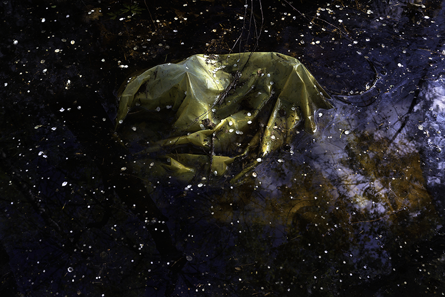 PAYSAGES POLYMÈRES -page10