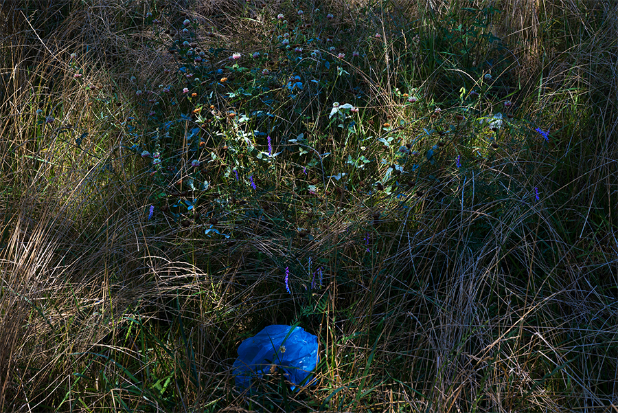 PAYSAGES POLYMÈRES -page09