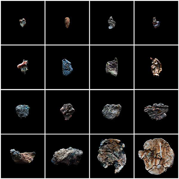 TAMESIOLOGIE -14